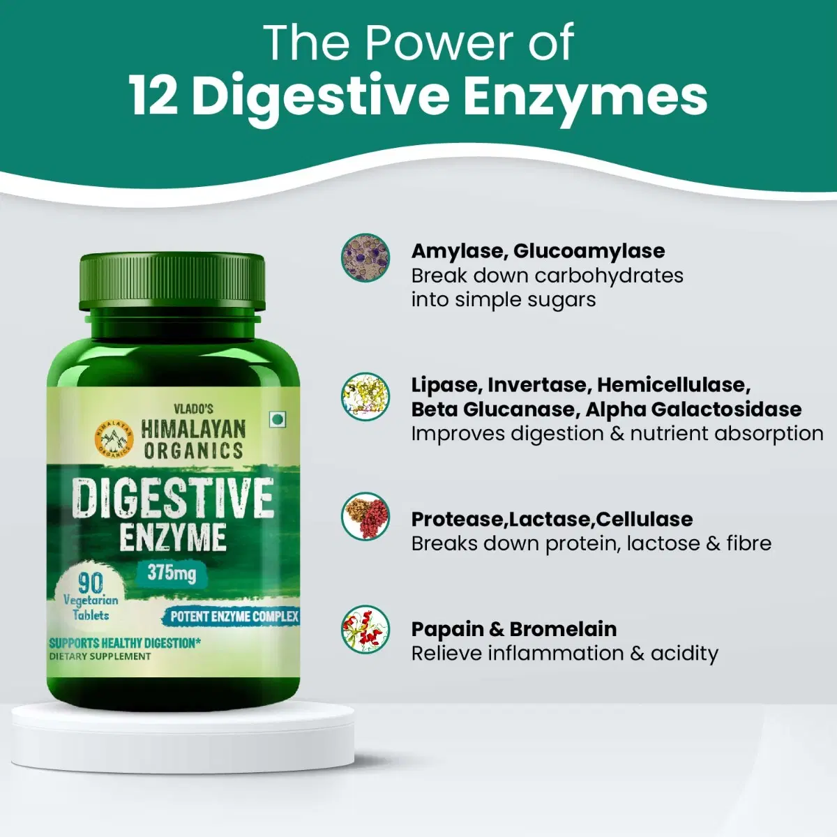 LTH Digestive Enzyme Complex | LT LTH Digestive Enzyme Complex | LT