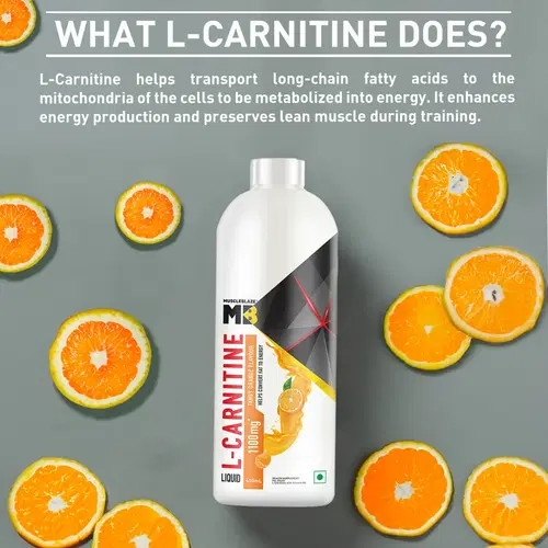 l carnitine liquid max muscle LIQUICARN - L-Carnitine Fat Burner & Energy Booster Liquid Maximum Control Weight Management