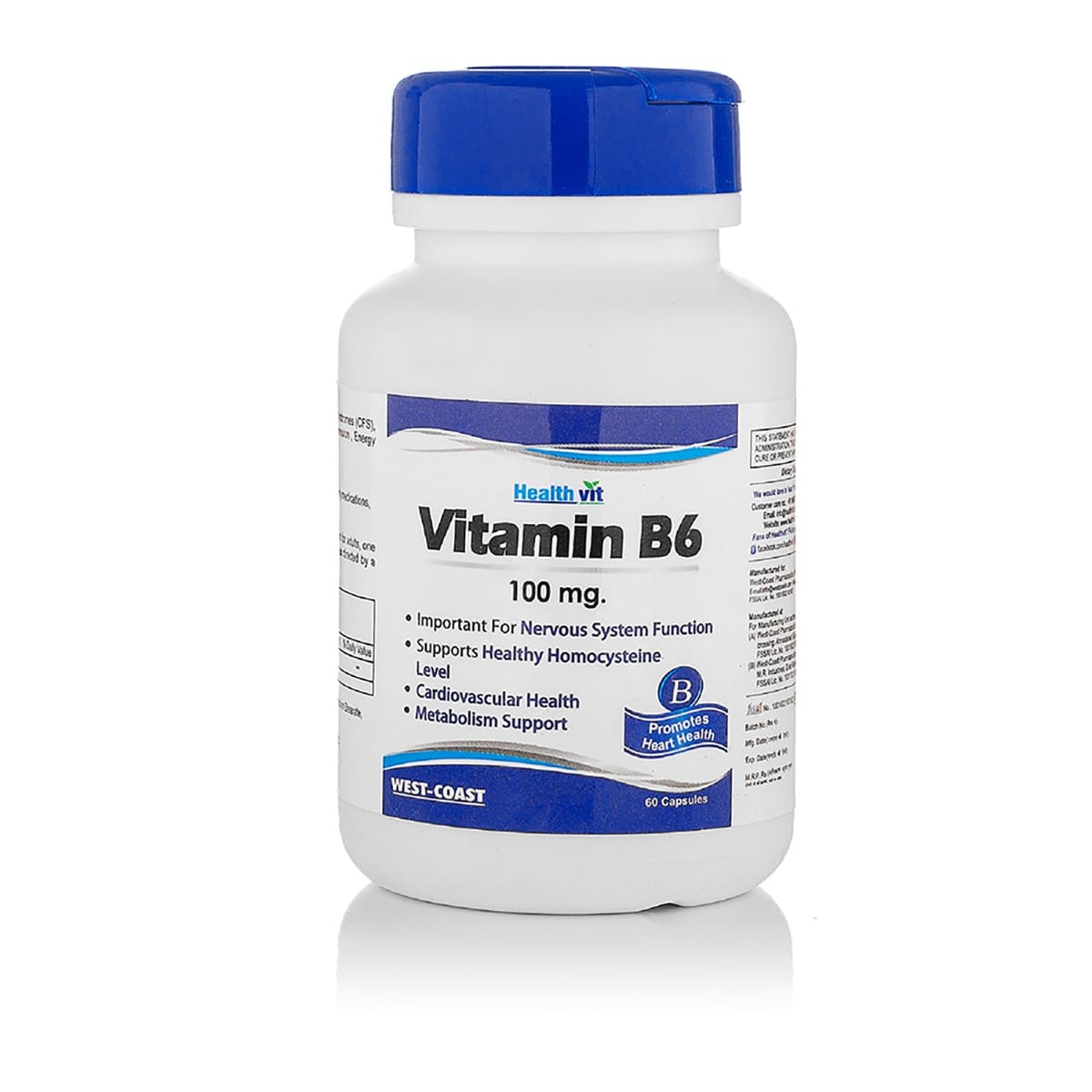 Healthvit Vitamin B6 100 MG 60 Capsules