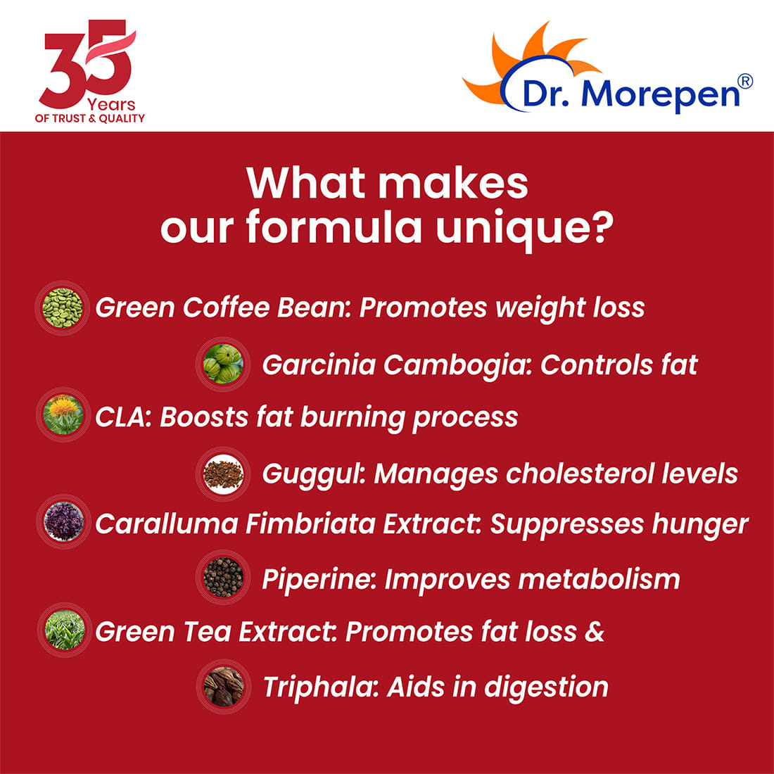 DR. Morepen Fat Burner Tablets 100 Natural 60 Tablets Appetite