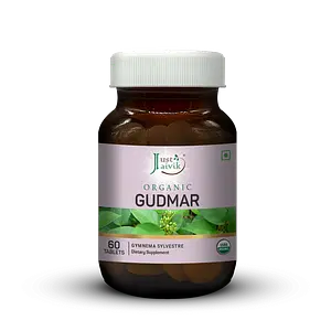 Just Jaivik Organic Gudmar | Gymnema Tablets - 600mg