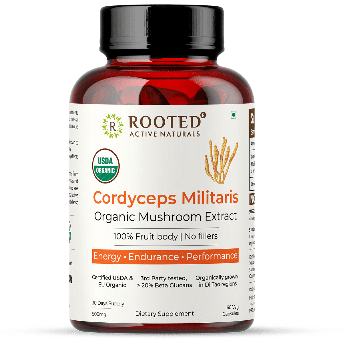 

Rooted Actives Cordyceps Militaris Mushroom Extract (60 caps, 500 mg) |Energy, Stamina, Supports Testosterone, Virility, Lung health |USDA Organic...