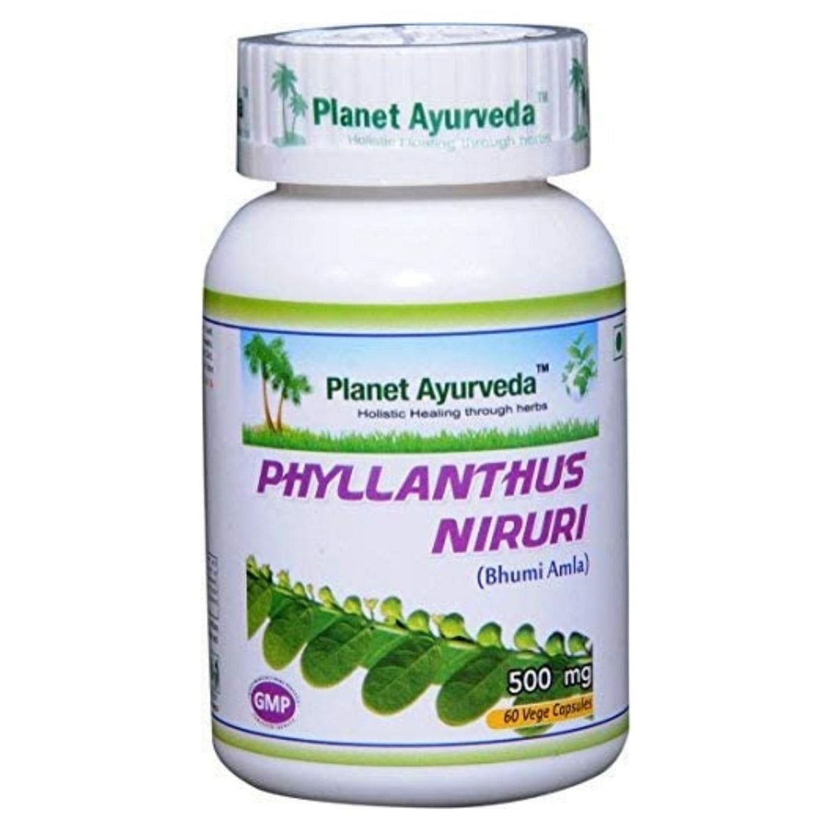 

Planet Ayurveda Phyllanthus Niruri