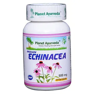 Planet Ayurveda Indian Echinacea