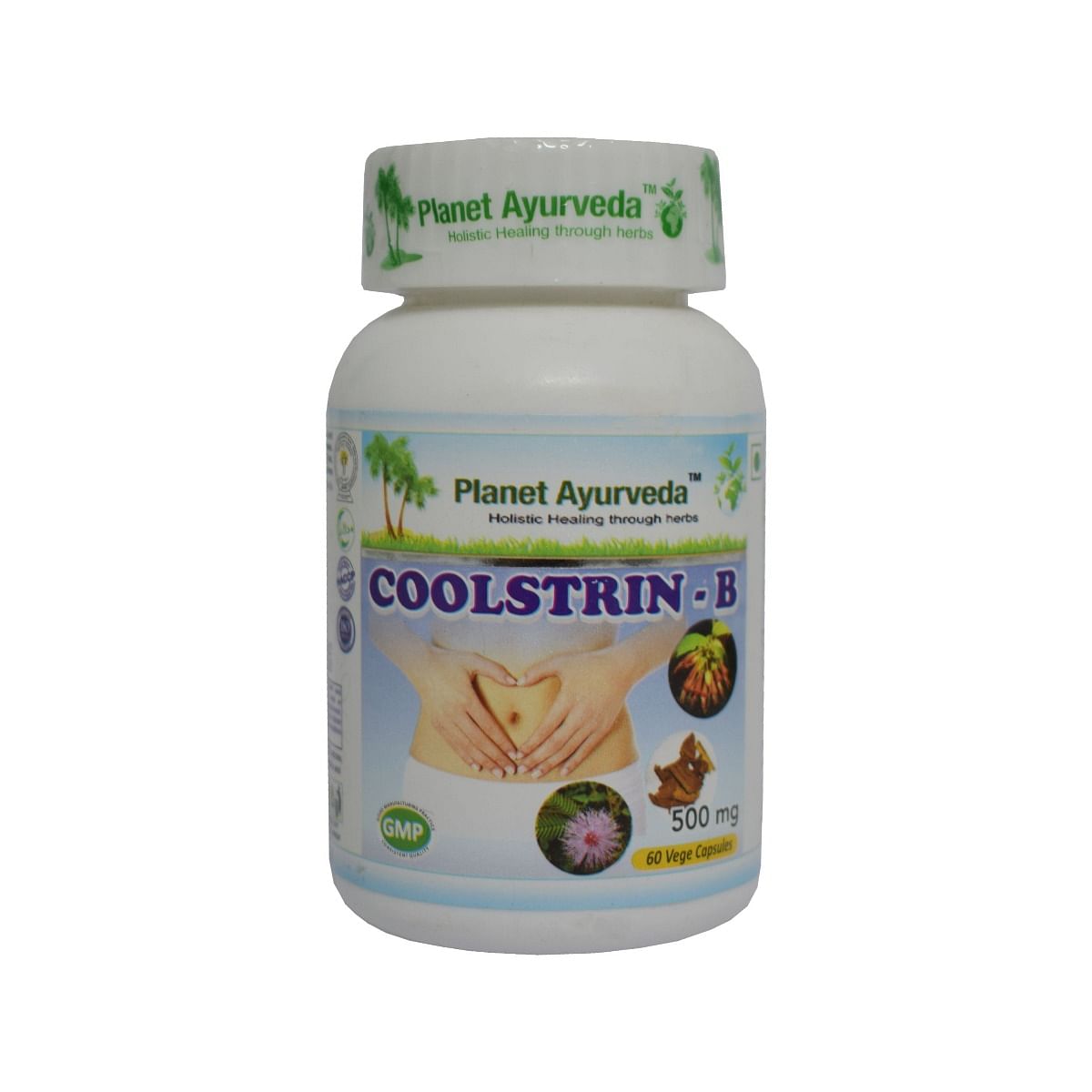 

Planet Ayurveda Coolstrin B