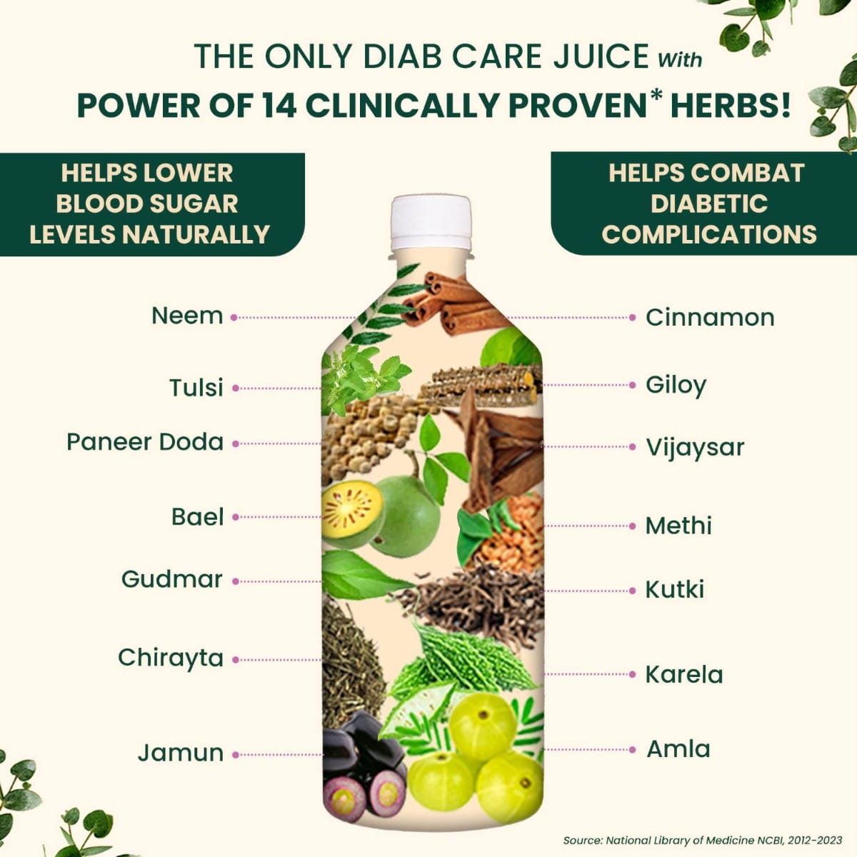 Insulin Is Pineapple Juice Good For Diabetic Person Vansaar Diab