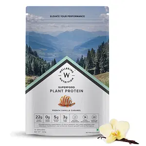 Wellbeing Nutrition Organic Vegan Plant Protein Isolate, Vanilla Caramel - 500gm