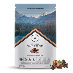Wellbeing Nutrition Plant Protein 500gm | 15 Serving | Dark Chocolate Hazelnut | 22g Protein | Muscle Growth | Repair