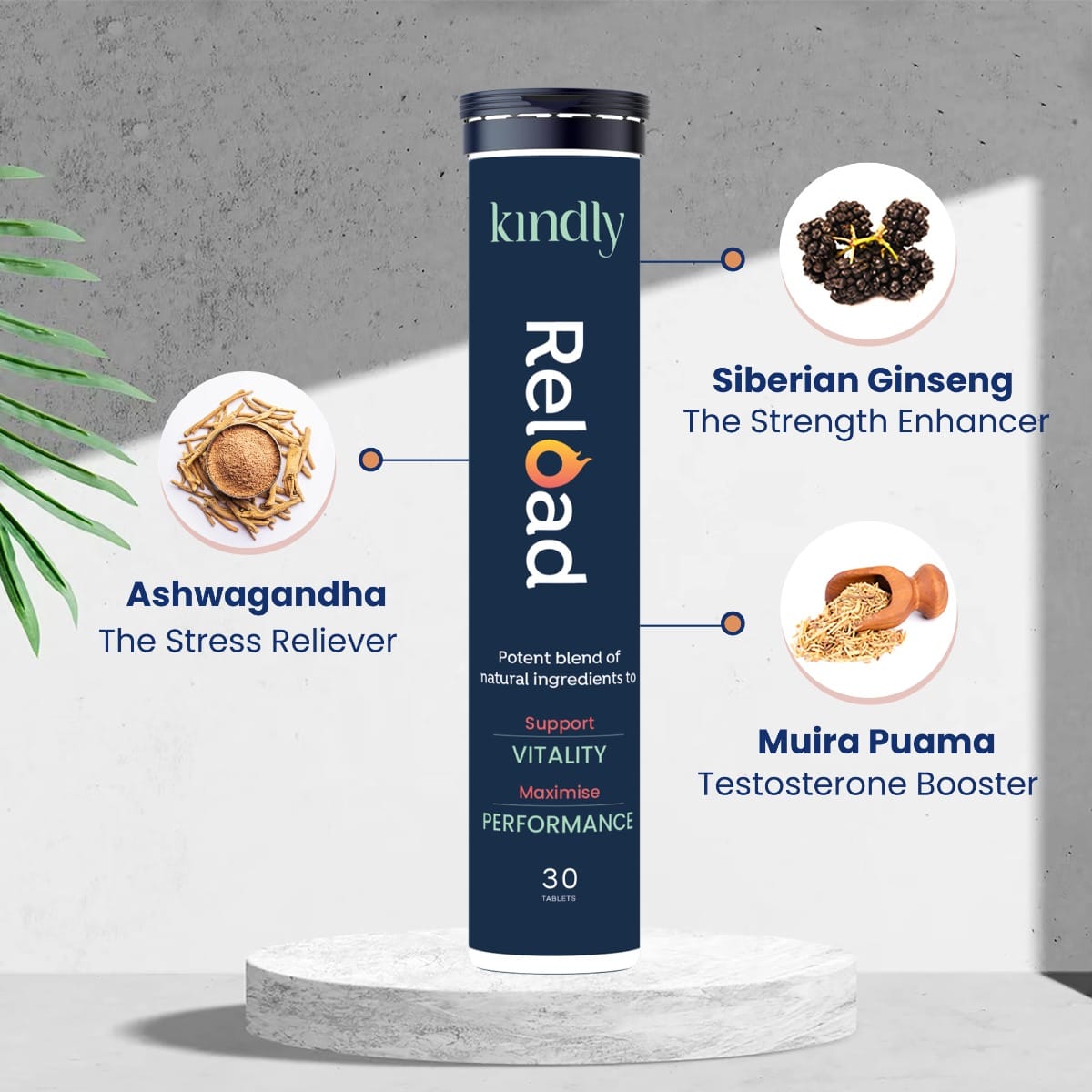 Kindly Health Ashwagandha Reload Stamina Booster For Men Ayurvedic