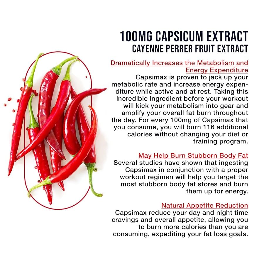 Modern Nutrition Day Shred Day Time Fat Burner for Men Women