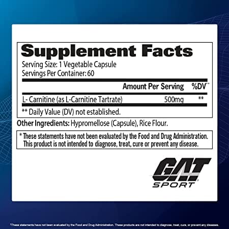 GAT SPORT L-Carnitine Free Form Amini Acid Essentials, Helps Convert Food  To Energy, Fuels Fat LOSS & Supports To Endurance