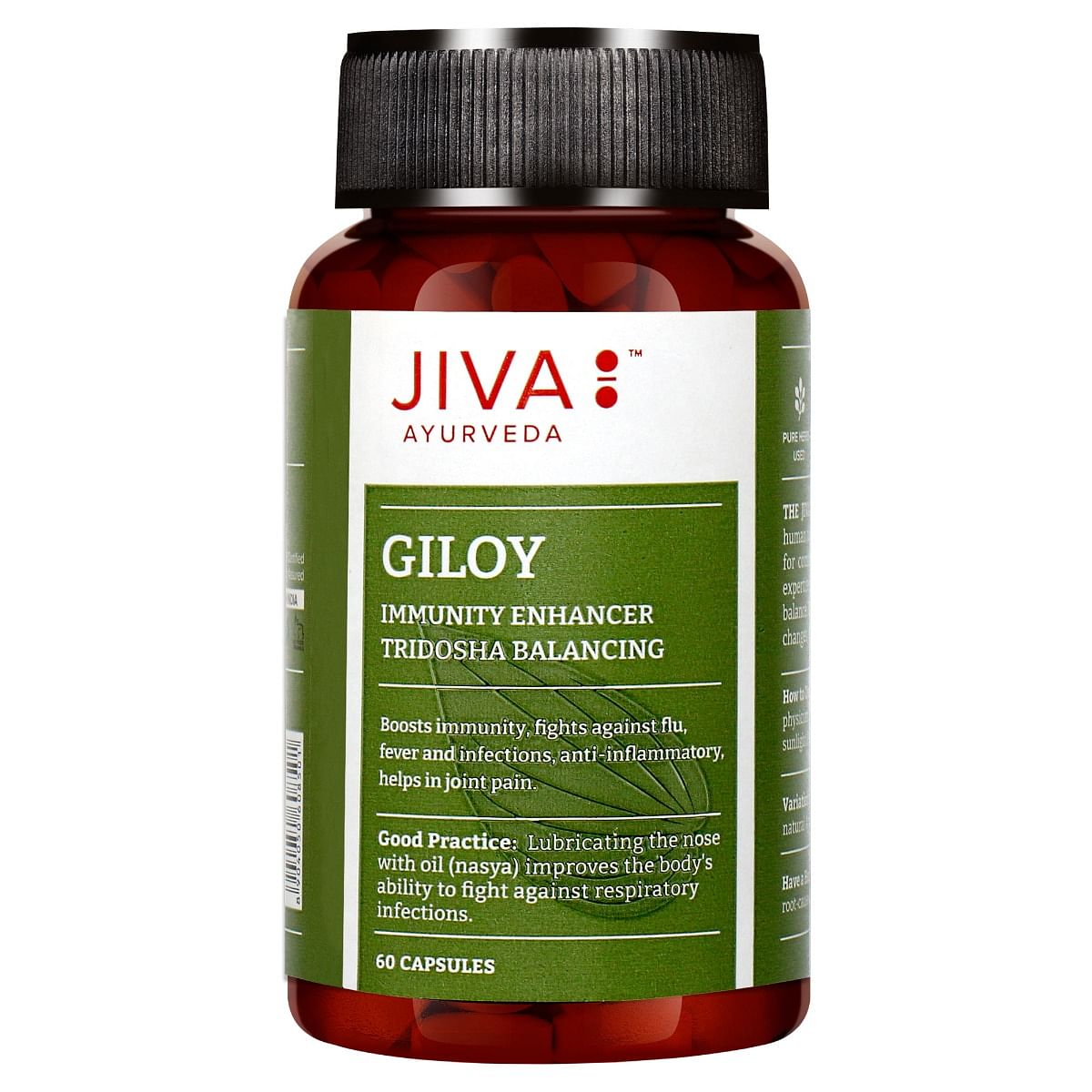 

Jiva Ayurveda Giloy Immunity Booster Capsule, 450 mg each, 60 Count, Pack of 2