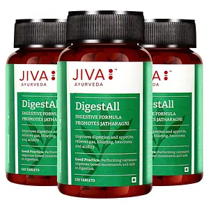 Jiva Ayurveda Digestall Tablet - 120 Tablets - Pack of 3
