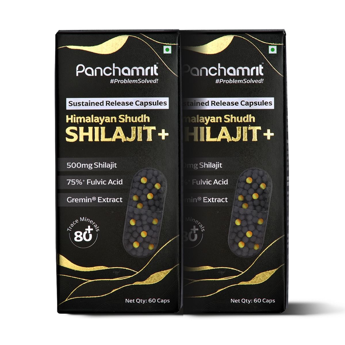 

Panchamrit 8 hrs Sustained Release Capsule 500mg Himalayan Shilajit+ with Gremin® Extract,75% Fulvic Acid,80+ Trace Minerals, 2.5x More Shilajit, D...