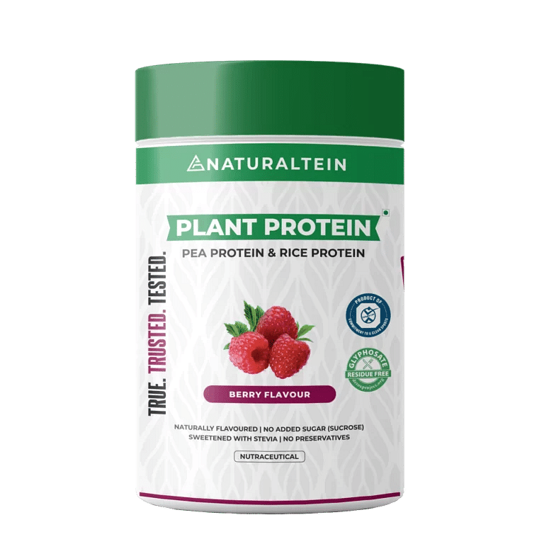 

NATURALTEIN Vegan Protein Berry - 500 gms