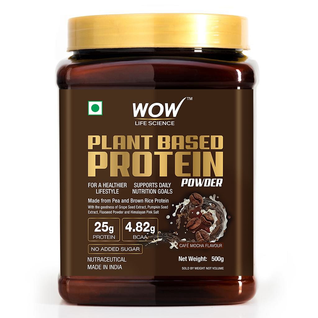 

WOW LIFE SCIENCE PLANT BASED PROTEIN POWDER- 500g