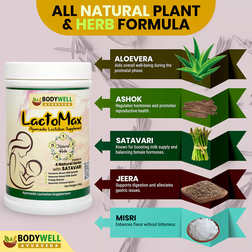 BODYWELL Lactomax | Lactation Supplement | Improves Breast Milk Quality ...