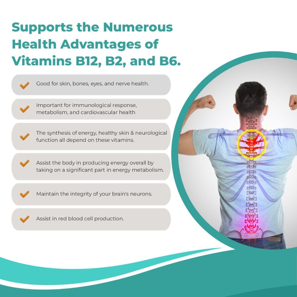 SWISSLIFE FOREVER Nerve Care Tablets Multivitamins Supplements with