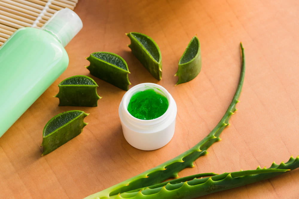 Aloe Vera and Vitamin E: The Dynamic Duo for Beauty and Wellness