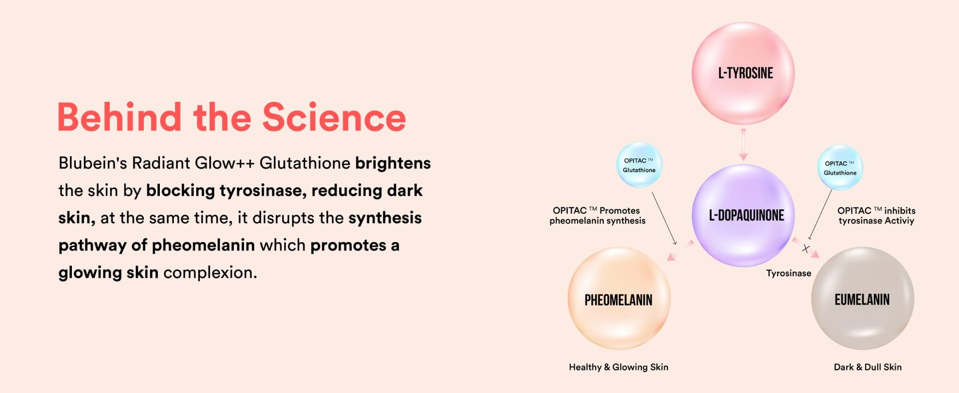 Blubein Skin Radiant Glow Drink| Japanese OPITAC GLUTATHIONE for Healthy &  Glowing Skin | 600mg L-Glutathione & Vitamin C for Clear Skin | Orange  Flavor